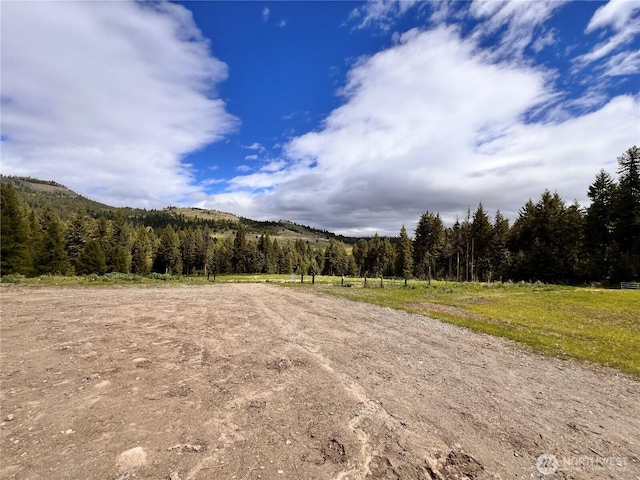 17 Kingsford Pl, Malo, WA 99166 - photo 27
