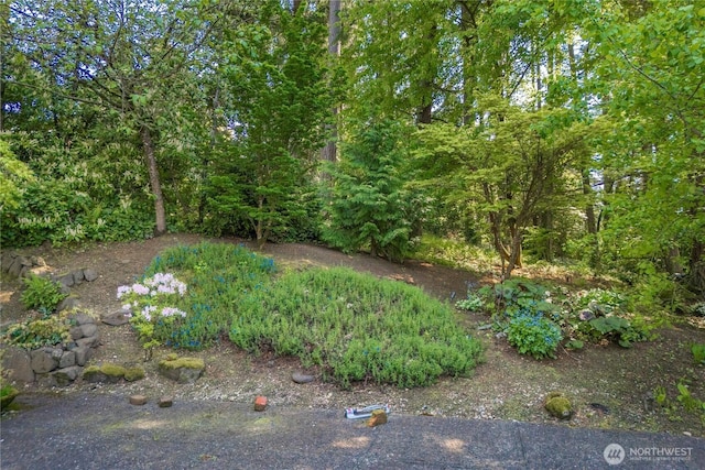 2139 SW 316th St, Federal Way, WA 98023 - view of yard