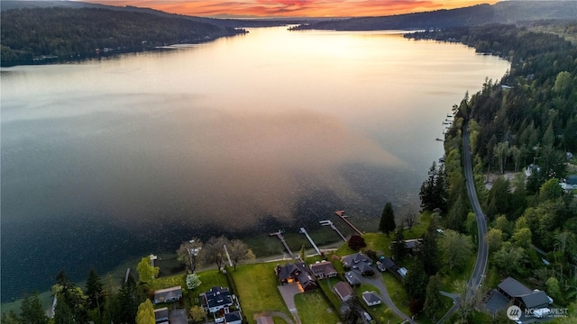 3193 Northshore Rd, Bellingham, WA 98226 - aerial view featuring a water view and a forest view