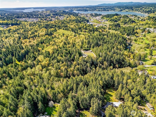 0 Bond Rd NE, Poulsbo, WA 98370 - photo 11