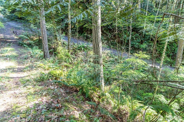 0 Bond Rd NE, Poulsbo, WA 98370 - photo 19
