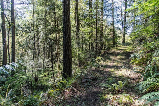 0 Bond Rd NE, Poulsbo, WA 98370 - photo 20
