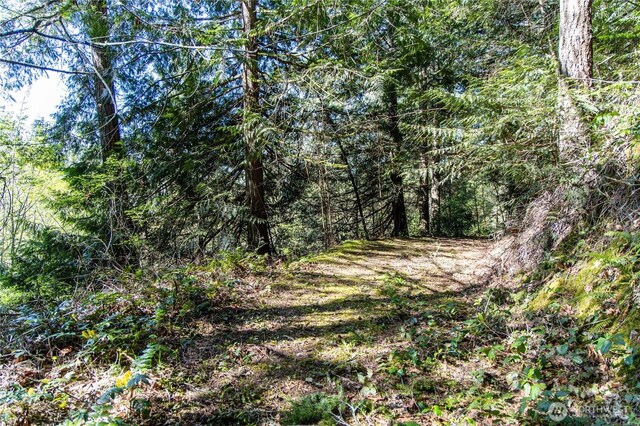 0 Bond Rd NE, Poulsbo, WA 98370 - photo 21
