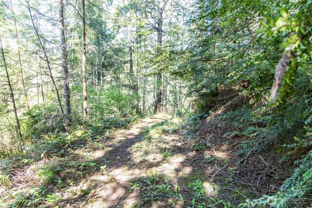 0 Bond Rd NE, Poulsbo, WA 98370 - photo 22