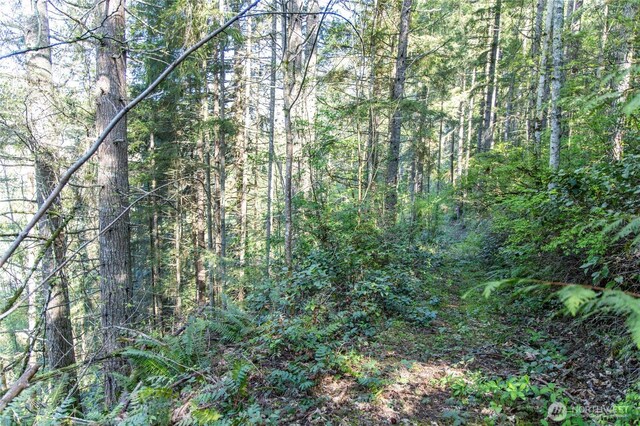 0 Bond Rd NE, Poulsbo, WA 98370 - photo 23