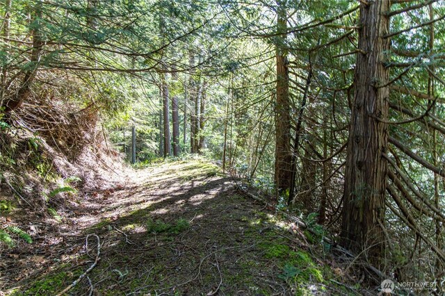 0 Bond Rd NE, Poulsbo, WA 98370 - photo 25