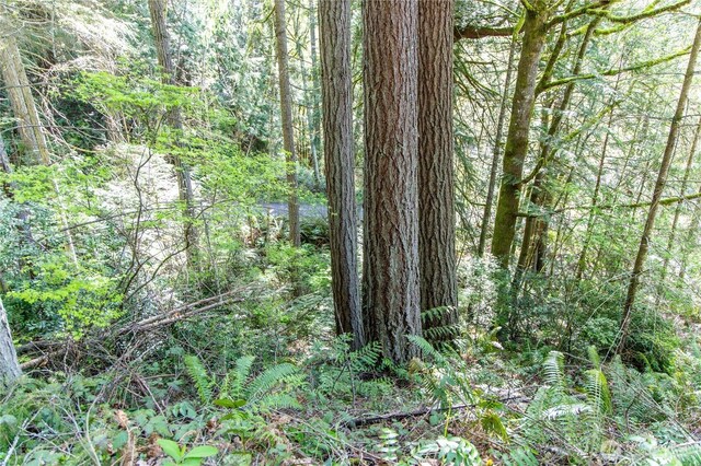 0 Bond Rd NE, Poulsbo, WA 98370 - photo 27