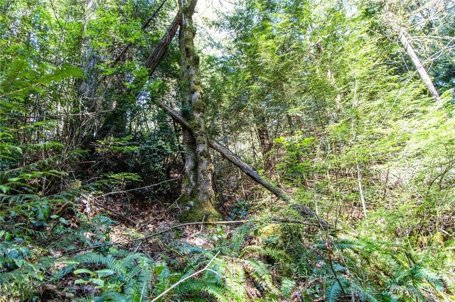 0 Bond Rd NE, Poulsbo, WA 98370 - photo 28