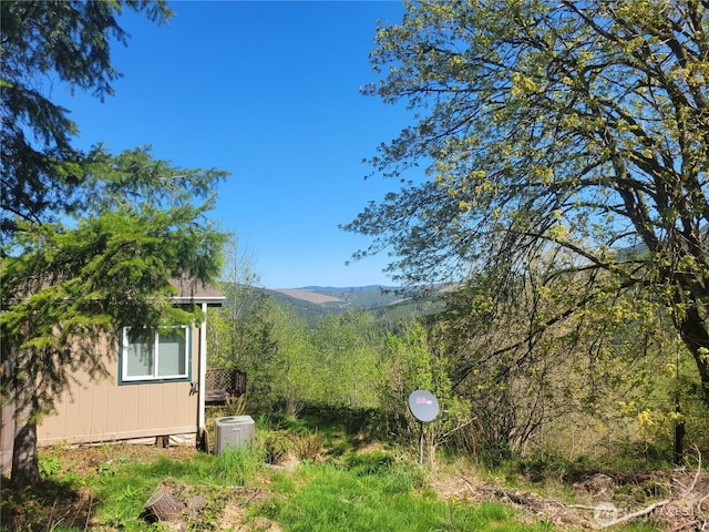 view of property exterior with a view of trees and a mountain view