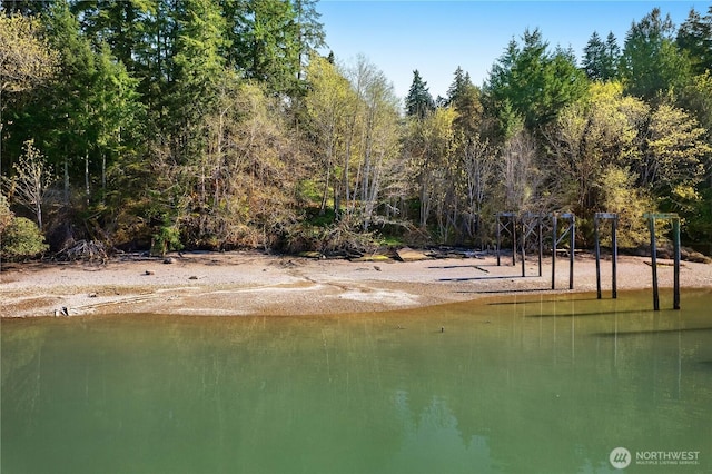 5210 Scott Rd NW, Olympia, WA 98502 - photo 38