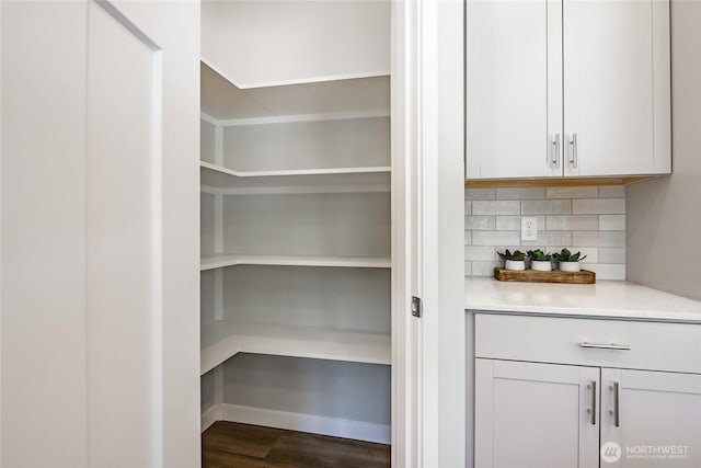 3009 Oleander Ln, Blaine, WA 98230 - view of pantry
