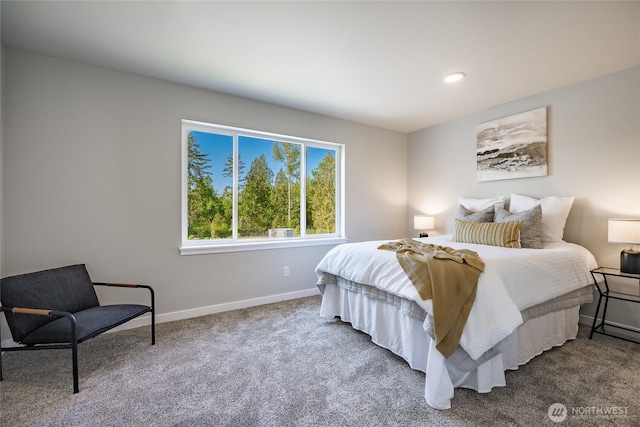 3009 Oleander Ln, Blaine, WA 98230 - carpeted bedroom featuring recessed lighting and baseboards