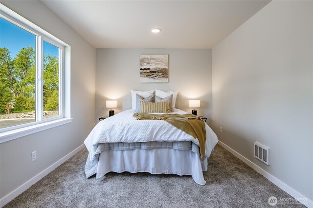 3009 Oleander Ln, Blaine, WA 98230 - bedroom featuring carpet floors, baseboards, and visible vents