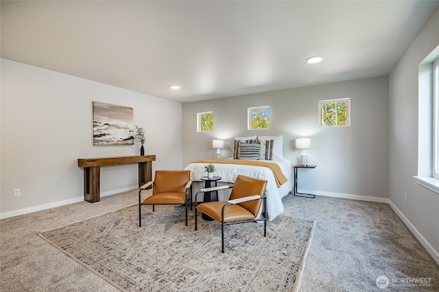 3009 Oleander Ln, Blaine, WA 98230 - carpeted bedroom featuring recessed lighting and baseboards