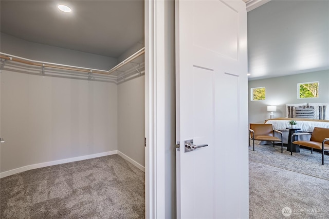 3009 Oleander Ln, Blaine, WA 98230 - spacious closet with carpet floors