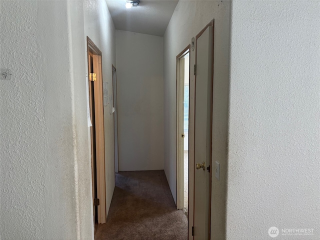 hallway with a textured wall and carpet flooring