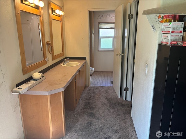 bathroom with toilet and vanity