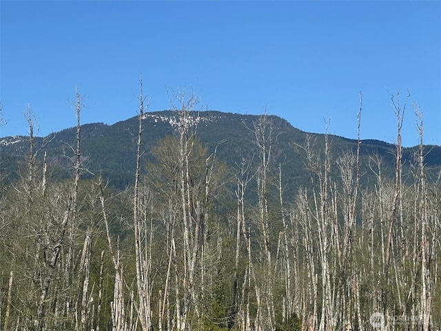 property view of mountains featuring a view of trees