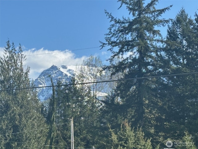 mountain view