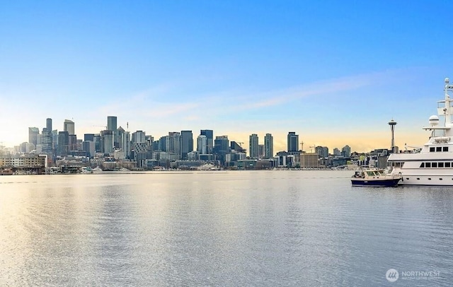 view of water feature with a city view