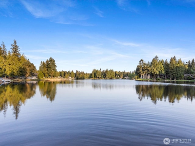 water view with a heavily wooded area