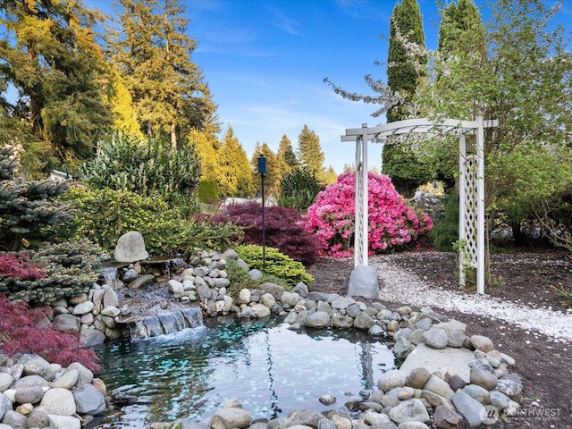 view of yard with a small pond