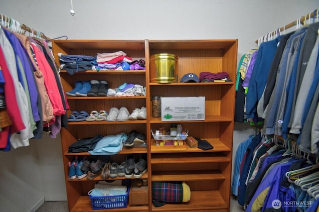 view of walk in closet