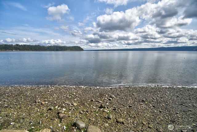 view of water feature