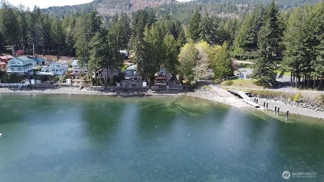 water view featuring a view of trees and a boat dock