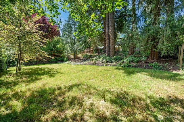 19010 12th Ave NE, Shoreline, WA 98155 - view of yard