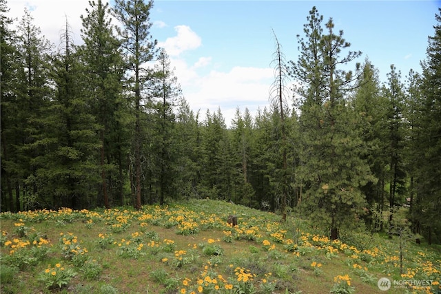 142 Red Pine Ct, Winthrop, WA 98862