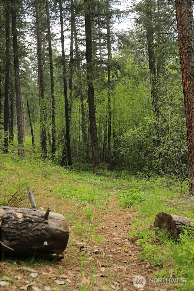 142 Red Pine Ct, Winthrop, WA 98862