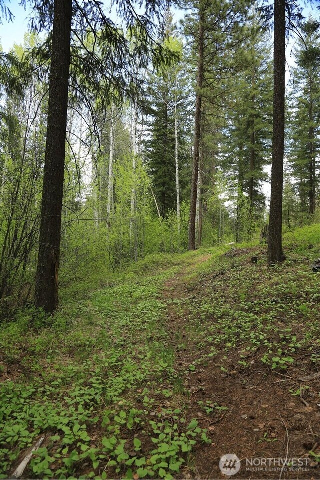 142 Red Pine Ct, Winthrop, WA 98862