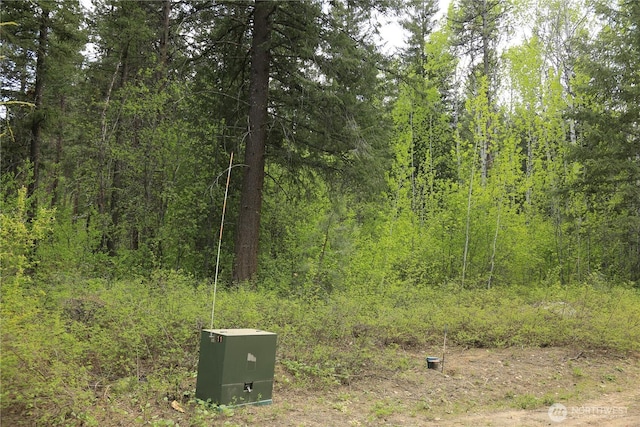 142 Red Pine Ct, Winthrop, WA 98862