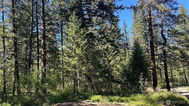 142 Red Pine Ct, Winthrop, WA 98862