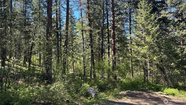 142 Red Pine Ct, Winthrop, WA 98862