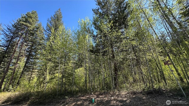 142 Red Pine Ct, Winthrop, WA 98862
