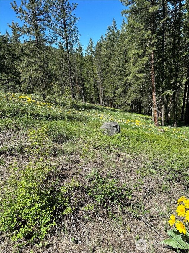 142 Red Pine Ct, Winthrop, WA 98862