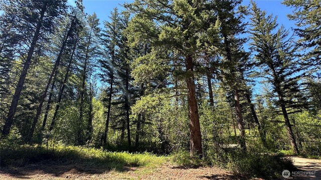 142 Red Pine Ct, Winthrop, WA 98862