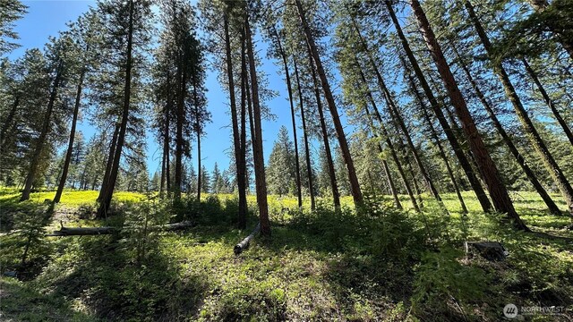 142 Red Pine Ct, Winthrop, WA 98862