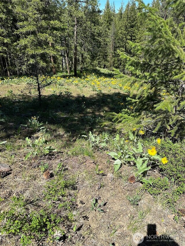 142 Red Pine Ct, Winthrop, WA 98862