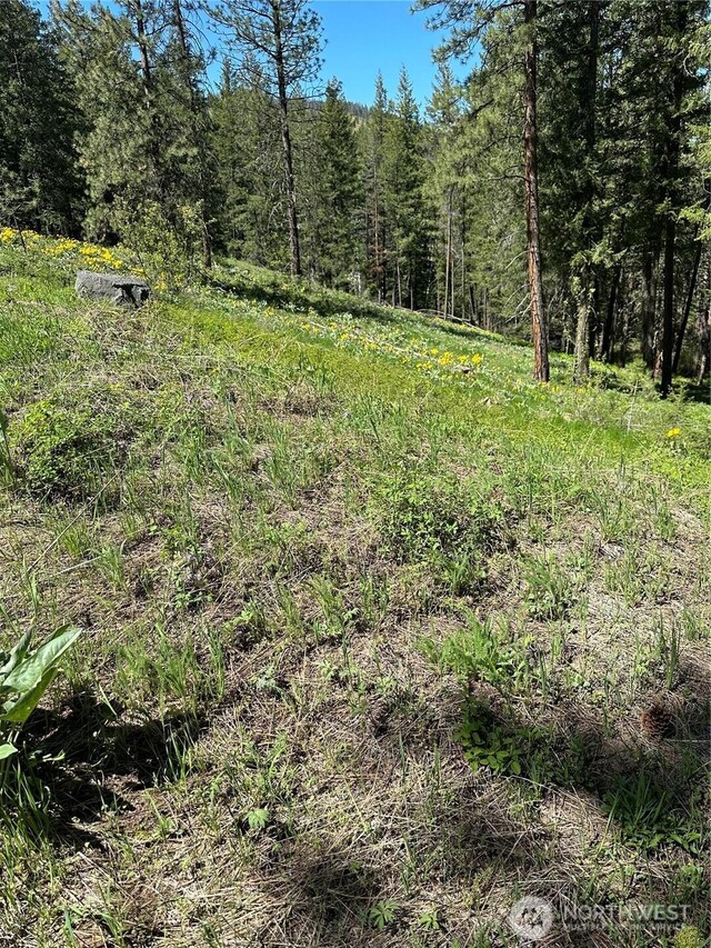 142 Red Pine Ct, Winthrop, WA 98862