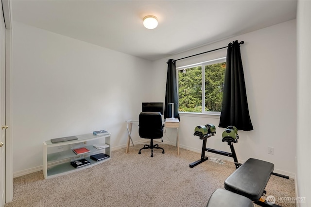 office featuring baseboards and carpet