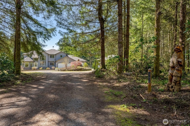 view of front of property featuring dirt driveway