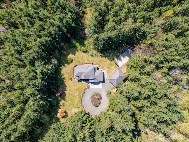 bird's eye view