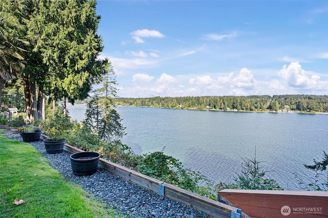 14407 Goodrich Dr NW, Gig Harbor, WA 98329 - view of water feature featuring a wooded view