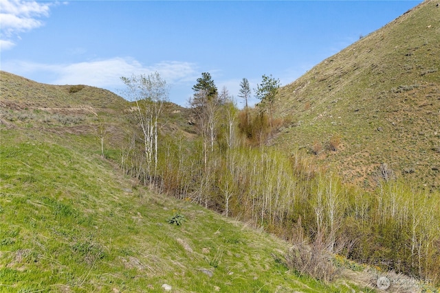 6 Cowboy Rd, Methow, WA 98834