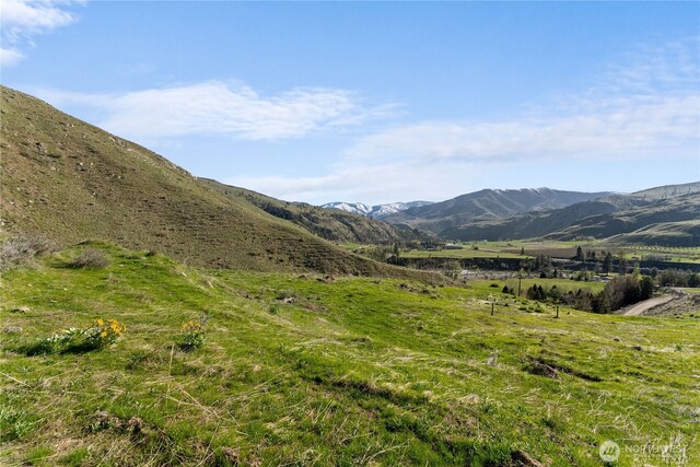 6 Cowboy Rd, Methow, WA 98834
