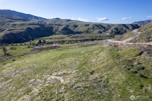 6 Cowboy Rd, Methow, WA 98834