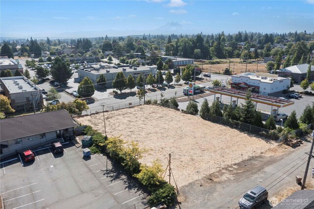 3718 Pacific Ave, Tacoma, WA 98418 - photo 11